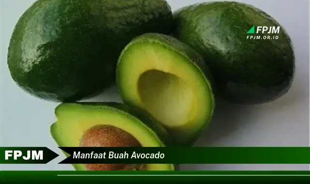 manfaat buah avocado