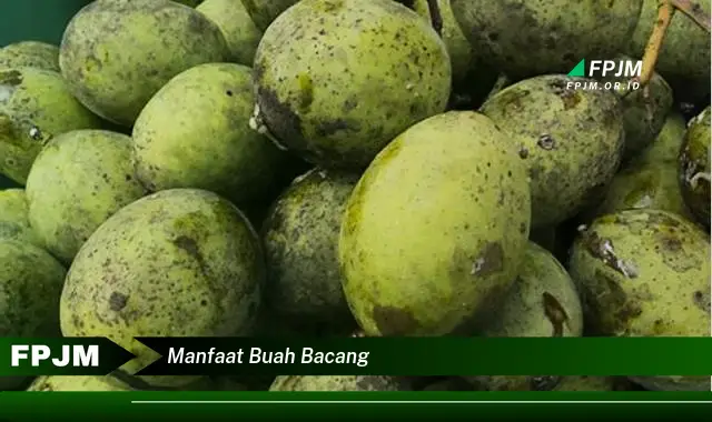 manfaat buah bacang manfaat buah bacang