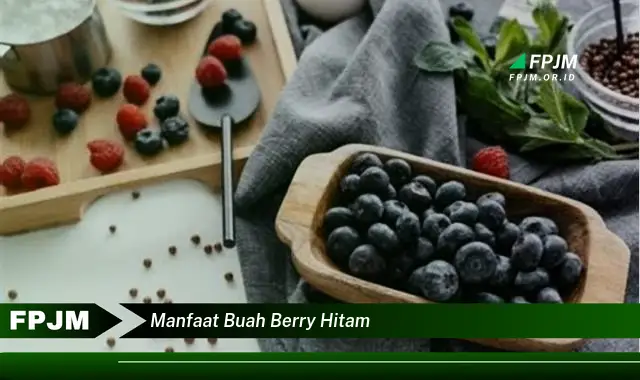 manfaat buah berry hitam