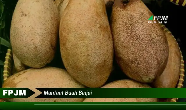 manfaat buah binjai