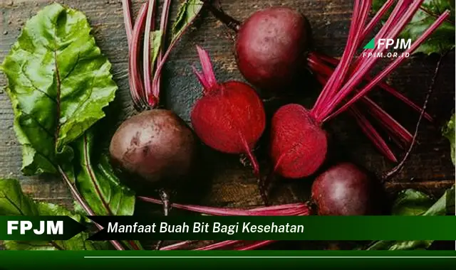 manfaat buah bit bagi kesehatan manfaat buah bit bagi kesehatan