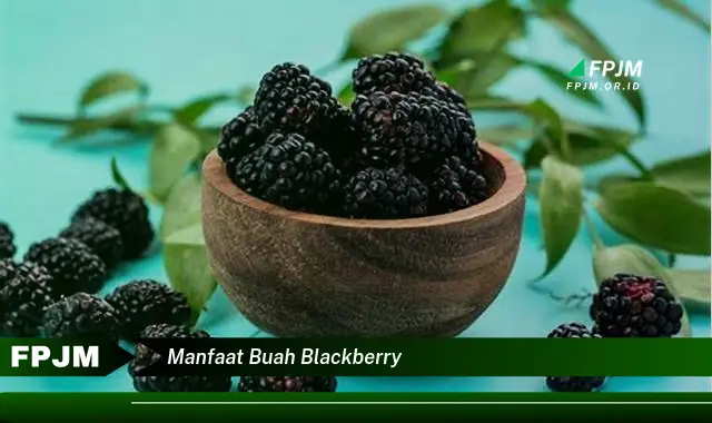 manfaat buah blackberry