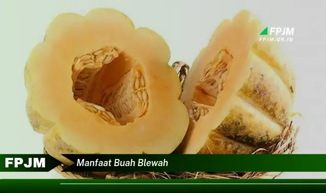 manfaat buah blewah