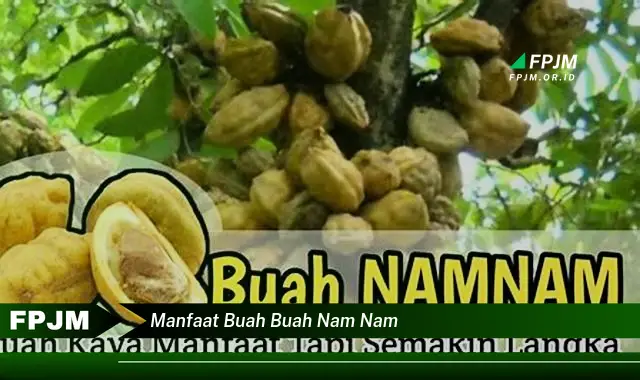 manfaat buah buah nam nam