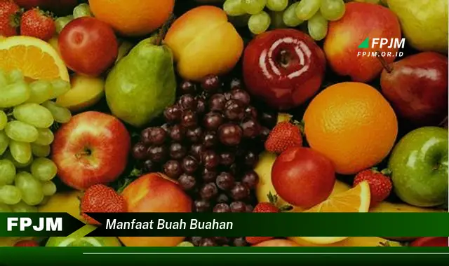 manfaat buah buahan manfaat buah buahan