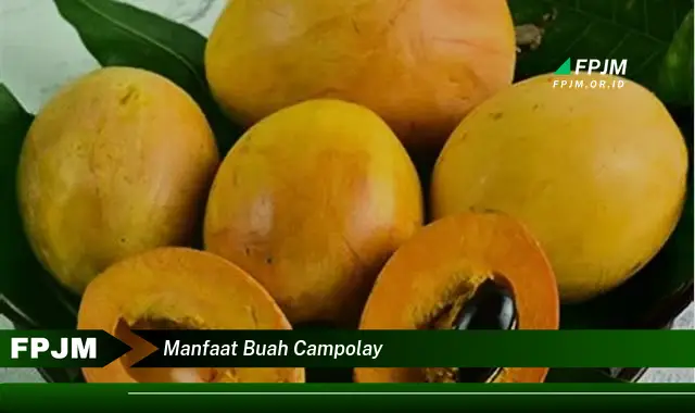 manfaat buah campolay