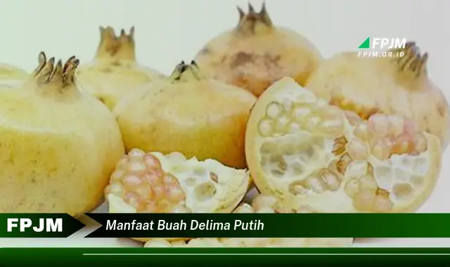 manfaat buah delima putih manfaat buah delima putih
