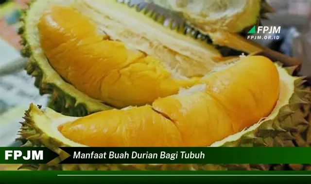 manfaat buah durian bagi tubuh