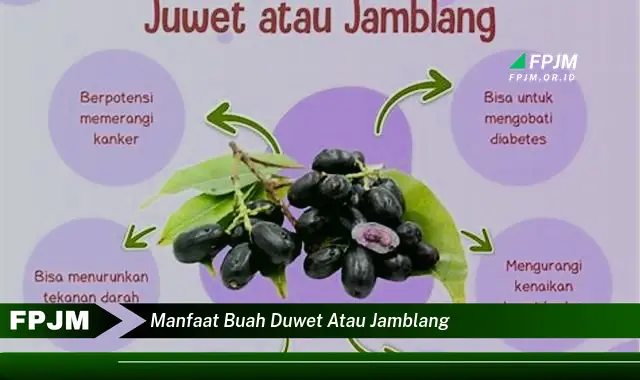 manfaat buah duwet atau jamblang