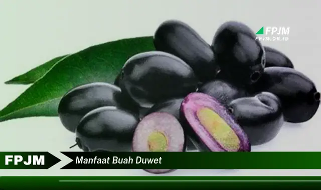 manfaat buah duwet