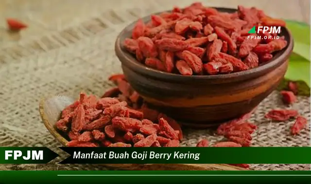 manfaat buah goji berry kering manfaat buah goji berry kering