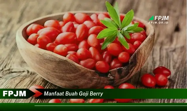 manfaat buah goji berry