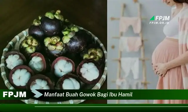 manfaat buah gowok bagi ibu hamil