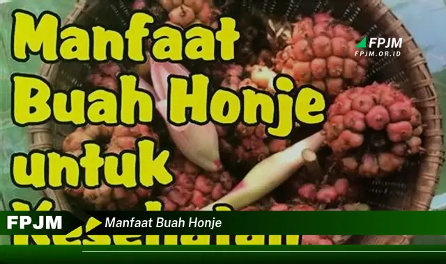 manfaat buah honje