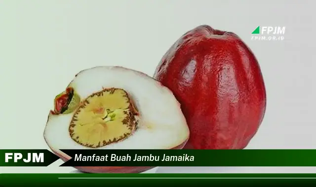 manfaat buah jambu jamaika