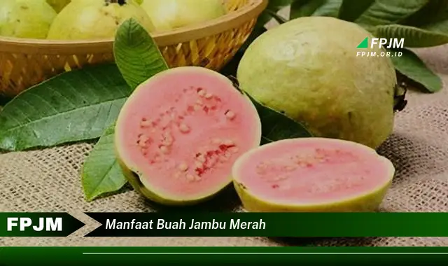 manfaat buah jambu merah