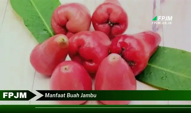 manfaat buah jambu manfaat buah jambu