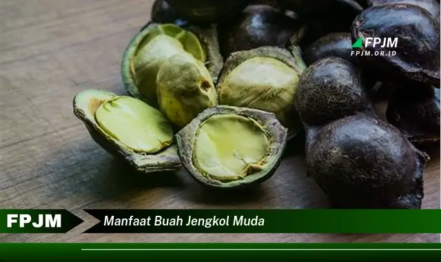 manfaat buah jengkol muda