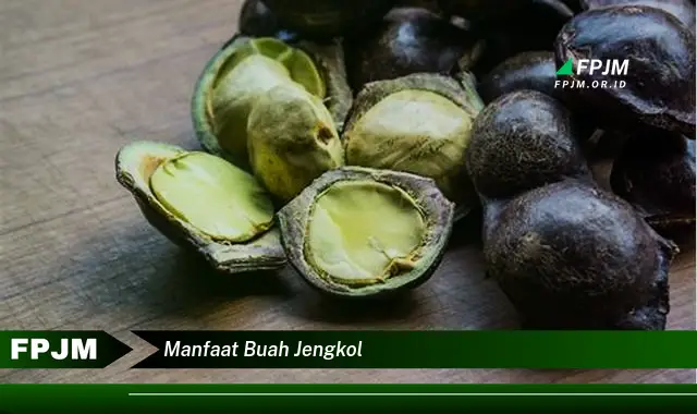 manfaat buah jengkol