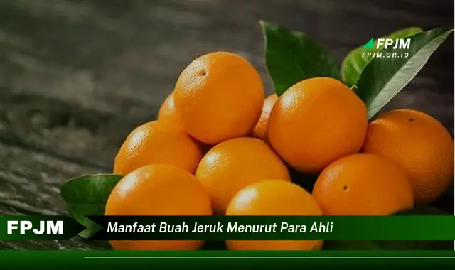 manfaat buah jeruk menurut para ahli manfaat buah jeruk menurut para ahli