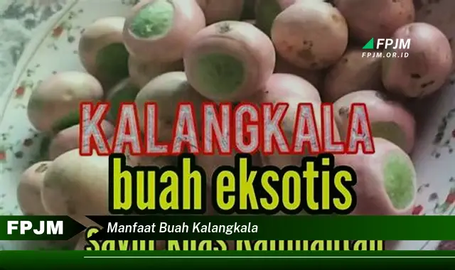 manfaat buah kalangkala