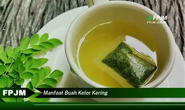 manfaat buah kelor kering