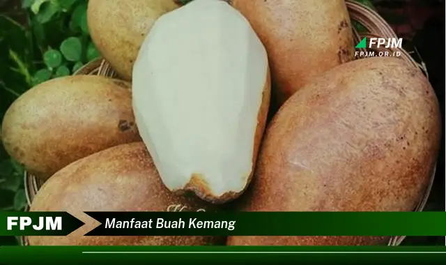 manfaat buah kemang