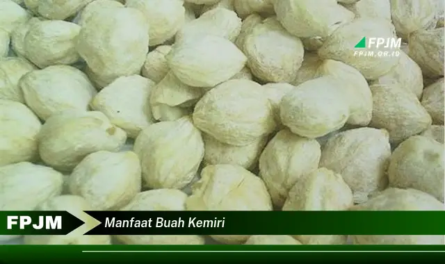 manfaat buah kemiri