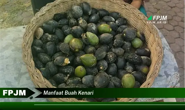 manfaat buah kenari