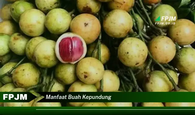 manfaat buah kepundung