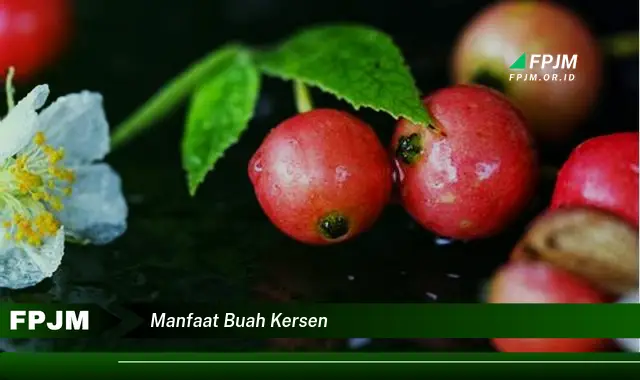 manfaat buah kersen