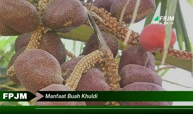 manfaat buah khuldi