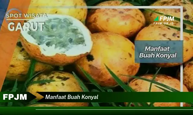 manfaat buah konyal