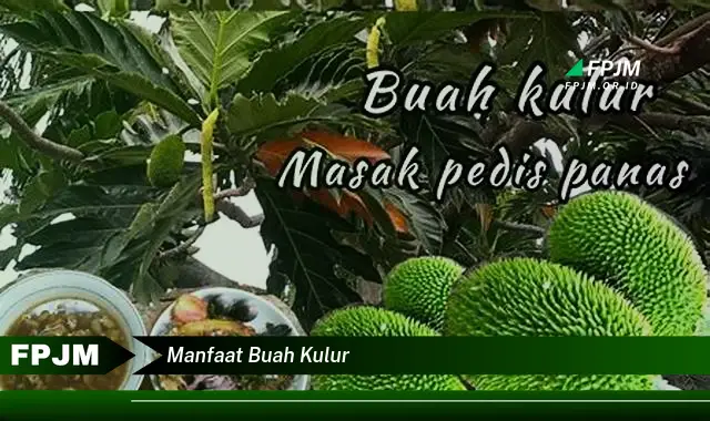 manfaat buah kulur