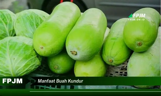manfaat buah kundur manfaat buah kundur