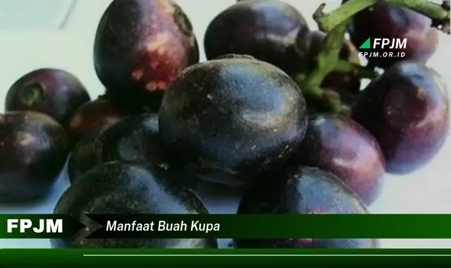 manfaat buah kupa