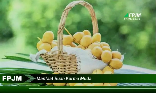 manfaat buah kurma muda manfaat buah kurma muda