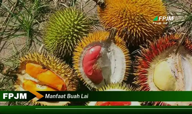 manfaat buah lai