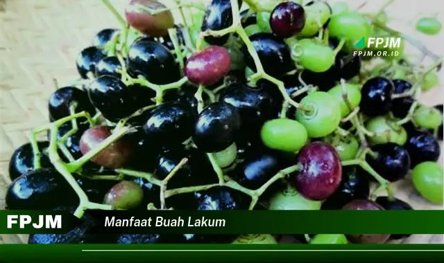 manfaat buah lakum