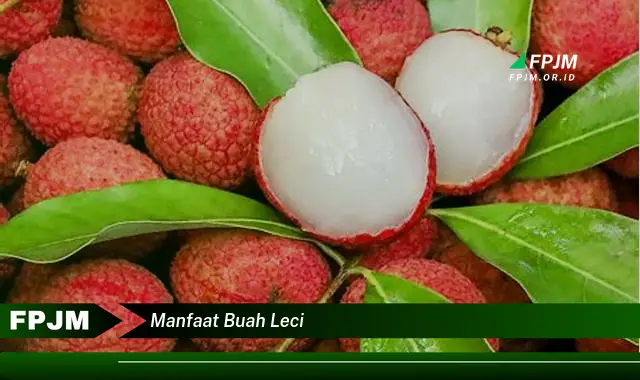 manfaat buah leci