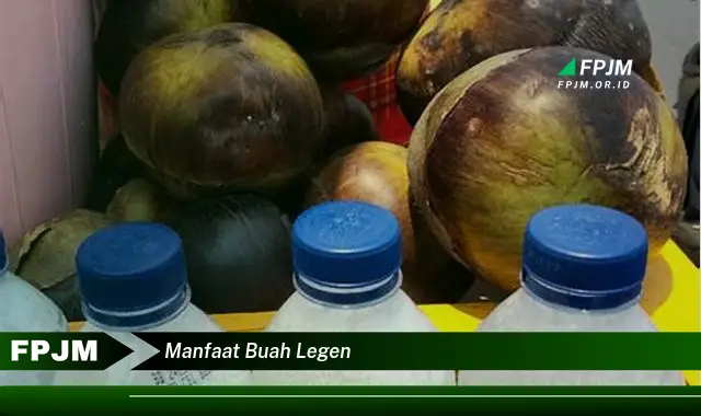 manfaat buah legen