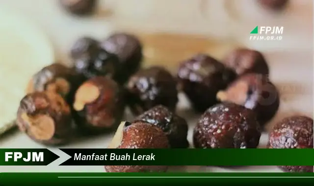 manfaat buah lerak