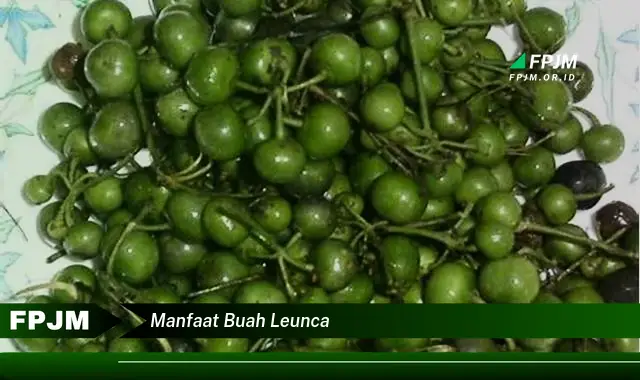 manfaat buah leunca