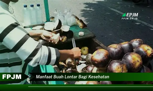 manfaat buah lontar bagi kesehatan
