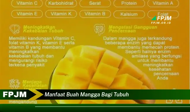 manfaat buah mangga bagi tubuh manfaat buah mangga bagi tubuh