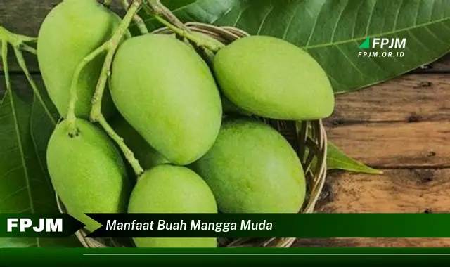 manfaat buah mangga muda manfaat buah mangga muda