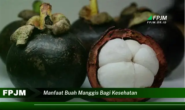 manfaat buah manggis bagi kesehatan