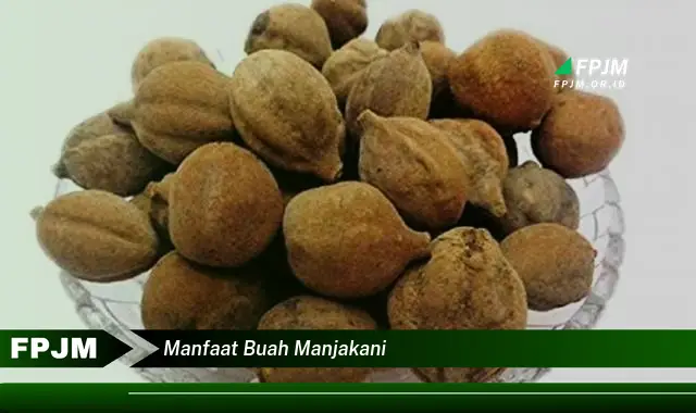 manfaat buah manjakani