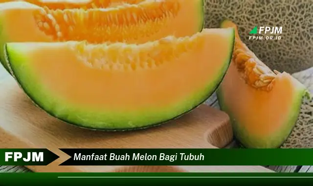 manfaat buah melon bagi tubuh