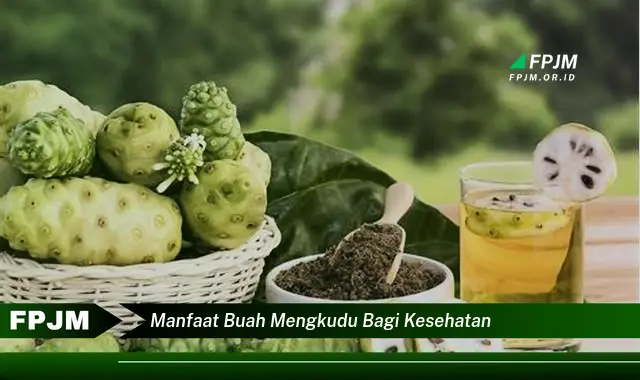 manfaat buah mengkudu bagi kesehatan manfaat buah mengkudu bagi kesehatan